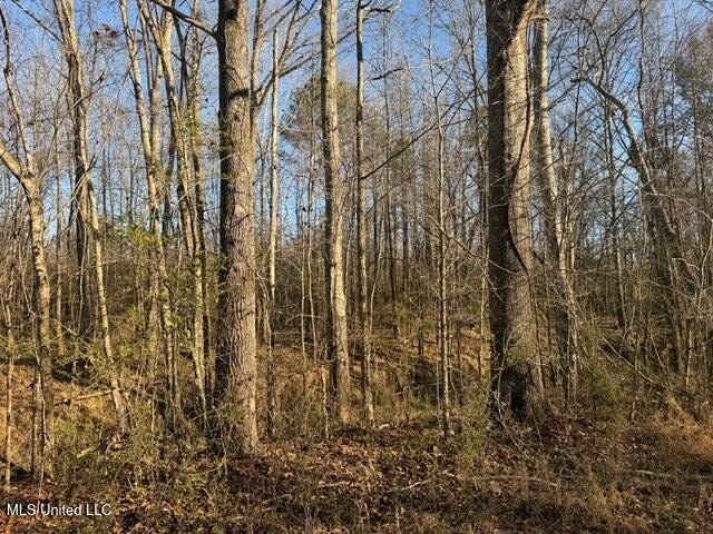 95+/- Acres on Raymond Road - Creek, Ponds, Airstrip, Homesite - photo 24