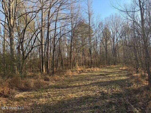 95+/- Acres on Raymond Road - Creek, Ponds, Airstrip, Homesite - photo 28