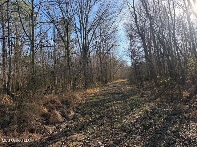 95+/- Acres on Raymond Road - Creek, Ponds, Airstrip, Homesite - photo 29