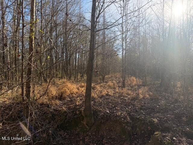 95+/- Acres on Raymond Road - Creek, Ponds, Airstrip, Homesite - photo 31