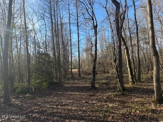 95+/- Acres on Raymond Road - Creek, Ponds, Airstrip, Homesite - photo 33