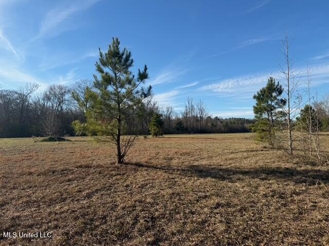 95+/- Acres on Raymond Road - Creek, Ponds, Airstrip, Homesite - photo 35