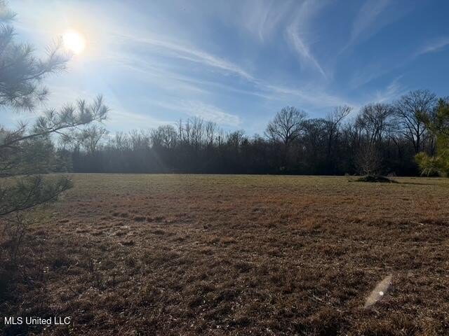 95+/- Acres on Raymond Road - Creek, Ponds, Airstrip, Homesite - photo 37