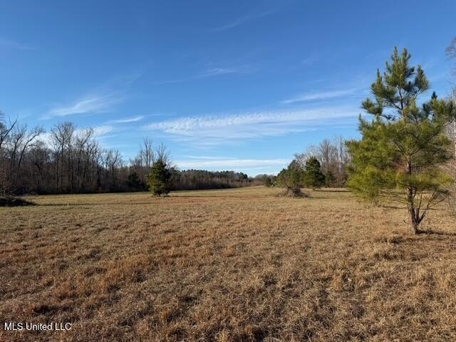 95+/- Acres on Raymond Road - Creek, Ponds, Airstrip, Homesite - photo 38
