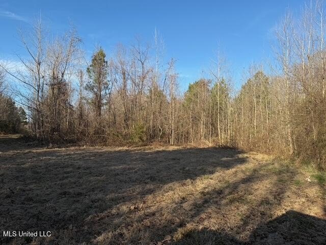 95+/- Acres on Raymond Road - Creek, Ponds, Airstrip, Homesite - photo 44