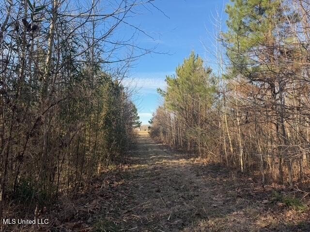 95+/- Acres on Raymond Road - Creek, Ponds, Airstrip, Homesite - photo 45