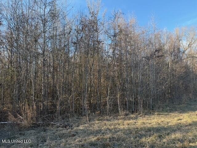 95+/- Acres on Raymond Road - Creek, Ponds, Airstrip, Homesite - photo 49
