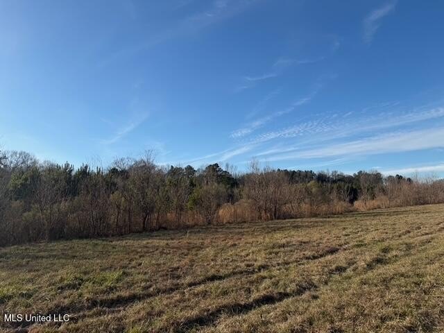 95+/- Acres on Raymond Road - Creek, Ponds, Airstrip, Homesite - photo 53