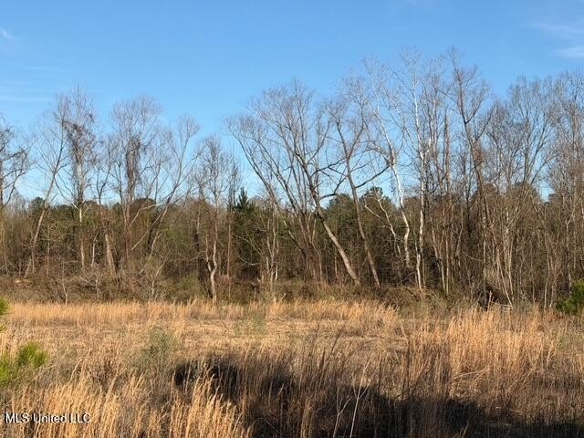 95+/- Acres on Raymond Road - Creek, Ponds, Airstrip, Homesite - photo 57