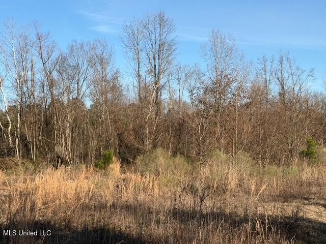 95+/- Acres on Raymond Road - Creek, Ponds, Airstrip, Homesite - photo 58