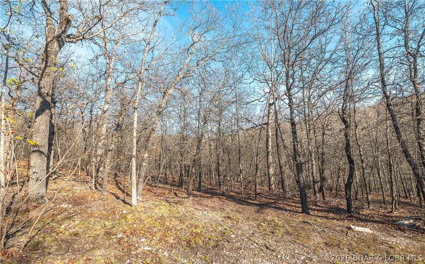 Discover your own slice of the Ozarks with this stunning 15-acre - photo 18