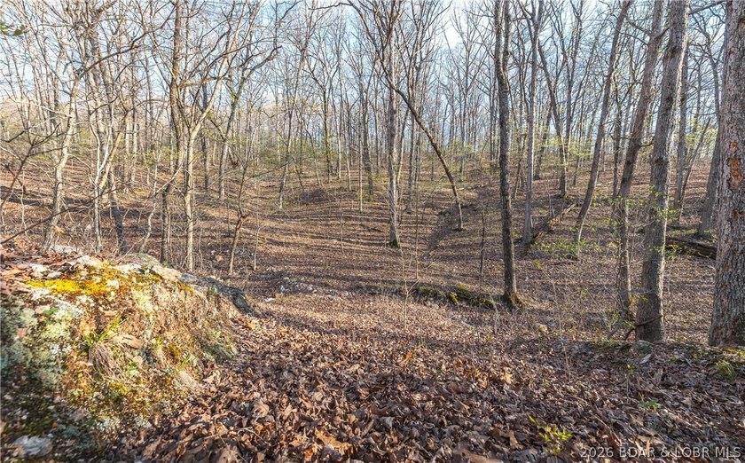 Discover your own slice of the Ozarks with this stunning 15-acre - photo 19