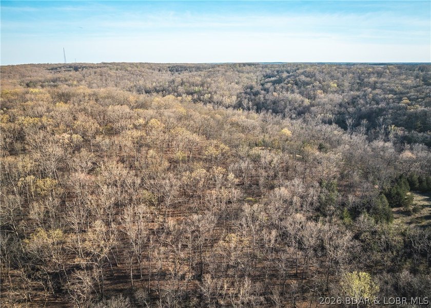Discover your own slice of the Ozarks with this stunning 15-acre - photo 21