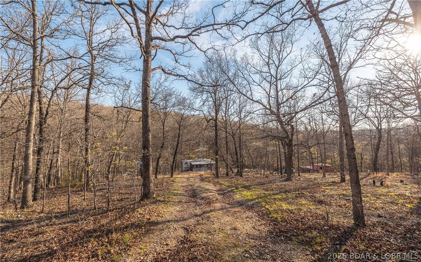 Discover your own slice of the Ozarks with this stunning 15-acre - photo 27