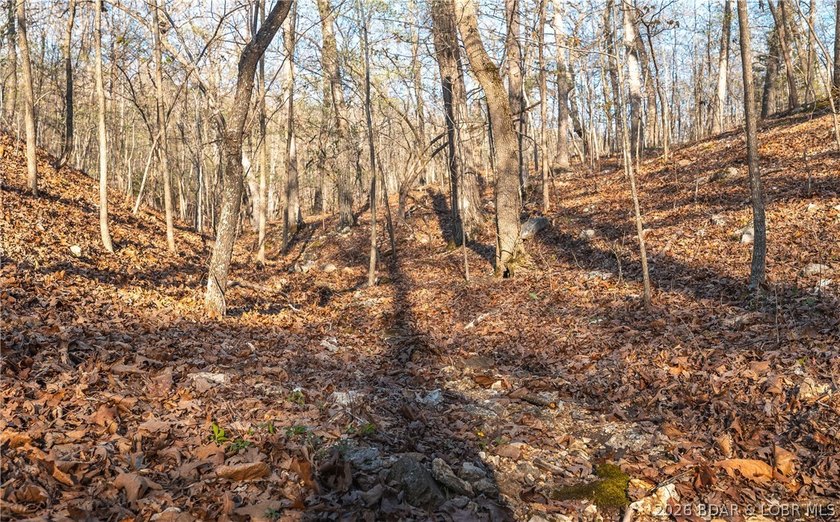 Discover your own slice of the Ozarks with this stunning 15-acre - photo 29
