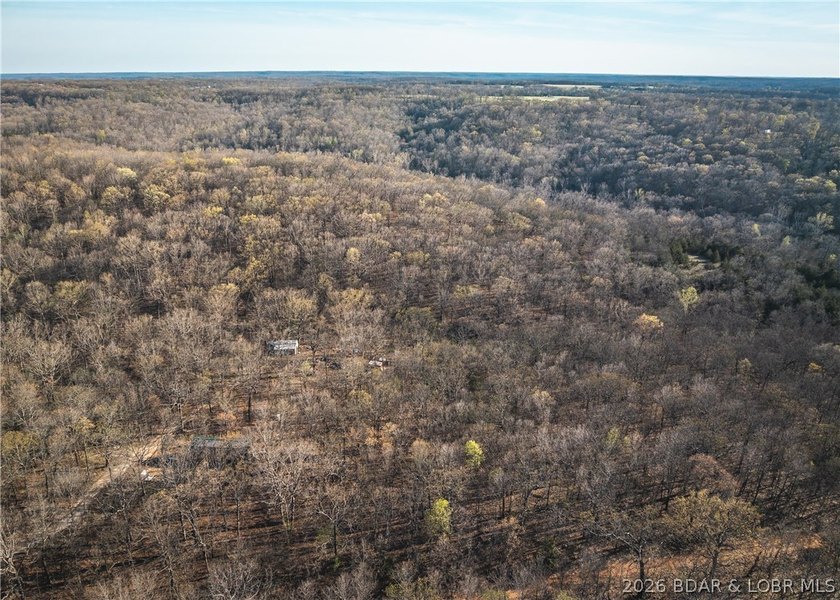 Discover your own slice of the Ozarks with this stunning 15-acre - photo 31