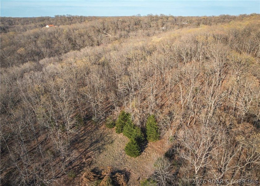 Discover your own slice of the Ozarks with this stunning 15-acre - photo 33