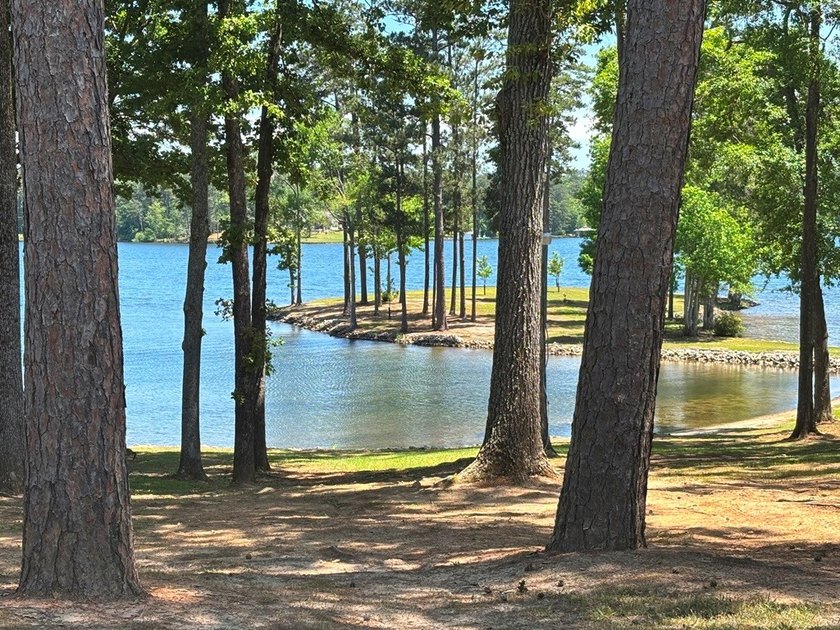 Searching for a lakeside getaway that hits all the high notes - photo 49