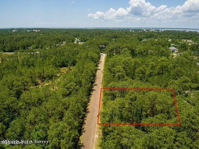 Double Lot on a quiet street close to the Schools. Located in an - photo 8