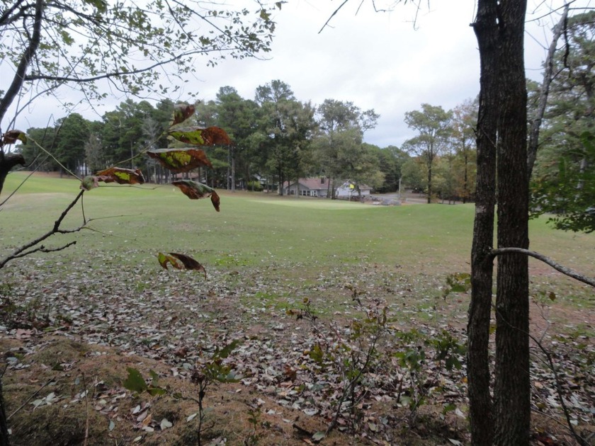 1 vacant double lot for sale, ready for your new home, joining - photo 13