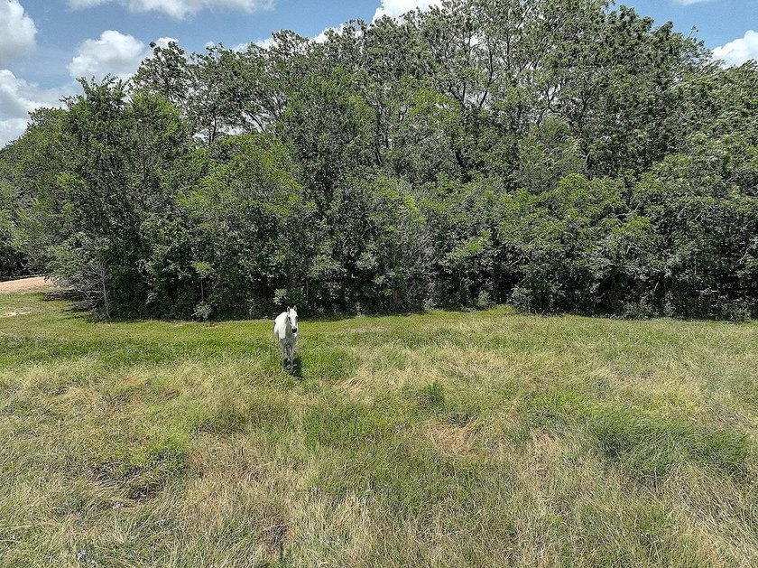 Surrounded by large acreage, this L-shaped Ag Exempt acreage - photo 12