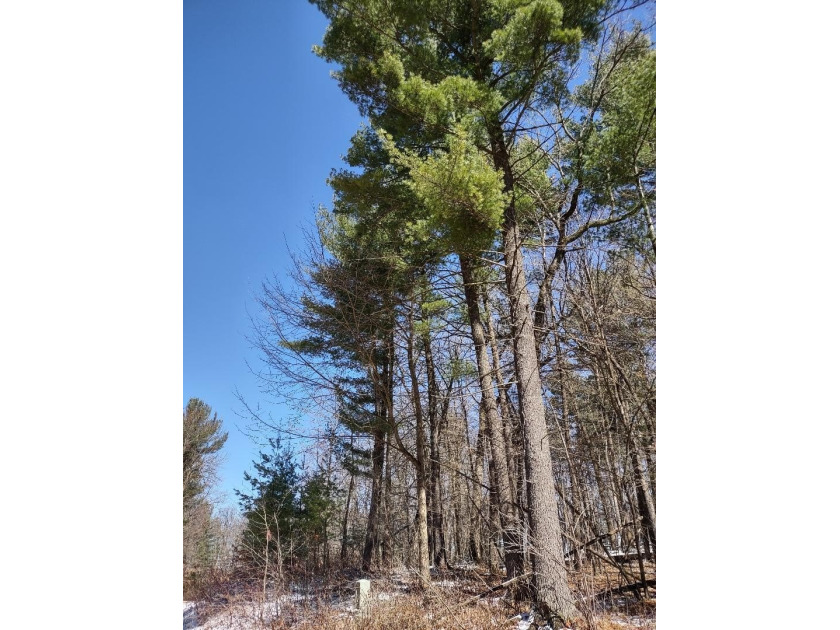 Set in the Majestic Woods development, this gorgeous heavily - photo 12