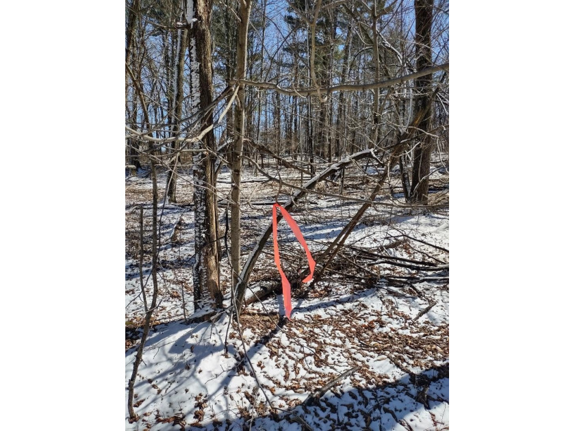 Set in the Majestic Woods development, this gorgeous heavily - photo 16