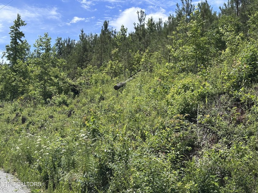 Discover the peaceful beauty of Highland Shores, a scenic rural - photo 12