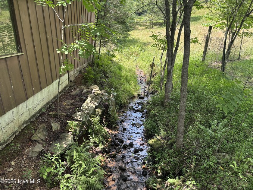 Rare Opportunity! Nestled in the beautiful mountains of Western - photo 19