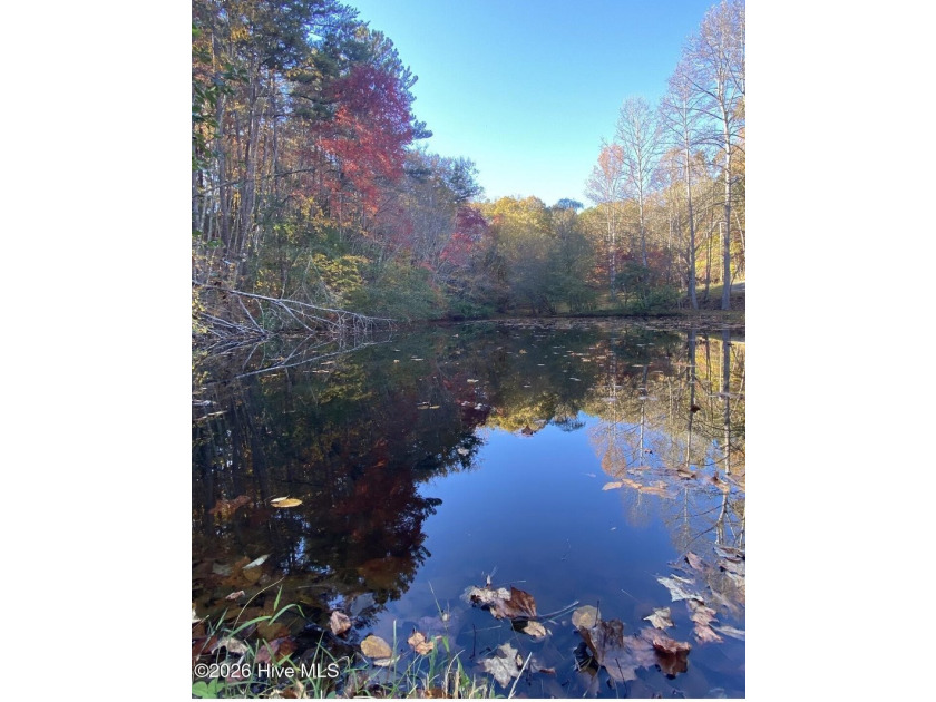 Rare Opportunity! Nestled in the beautiful mountains of Western - photo 22