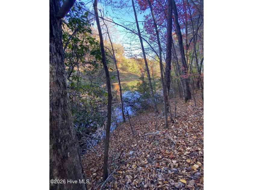 Rare Opportunity! Nestled in the beautiful mountains of Western - photo 23