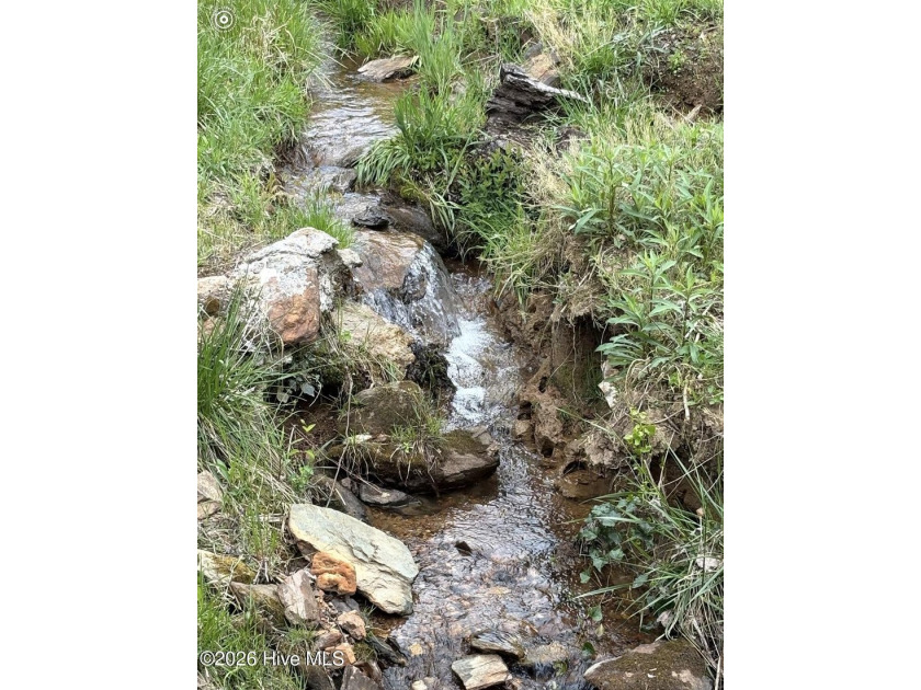 Rare Opportunity! Nestled in the beautiful mountains of Western - photo 24