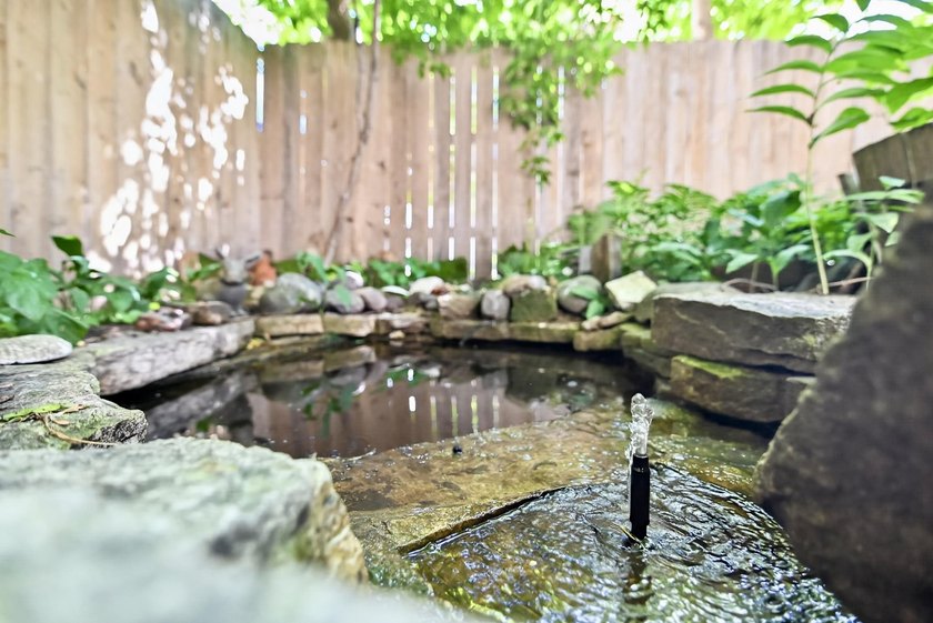 AUTHENTICALLY CHARMING DOWNTOWN HIDEOUT - Walk to everything and - photo 40