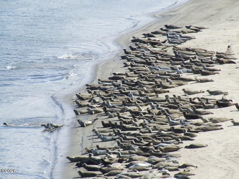 Unobstructed water view C-2 retail/ commercial- zoned. /mixed - photo 39