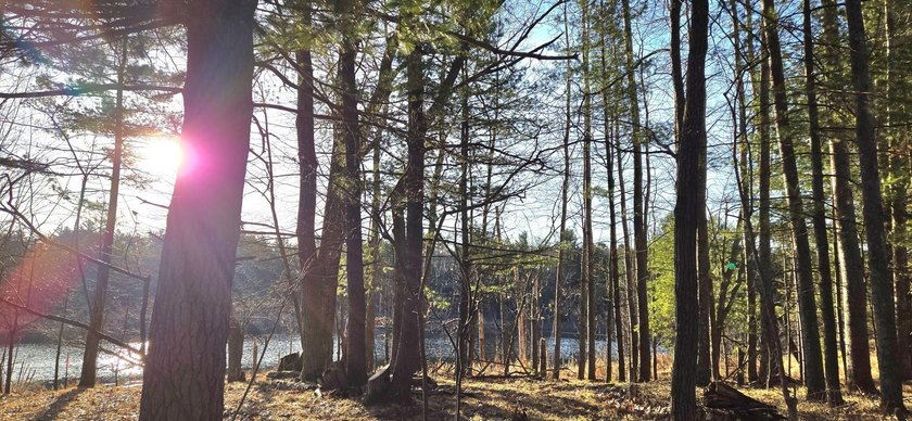 Discover the perfect Northwoods escape on beautiful Bayer Lake - photo 14