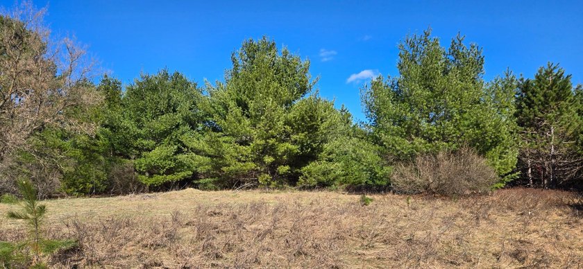 Discover the perfect Northwoods escape on beautiful Bayer Lake - photo 29