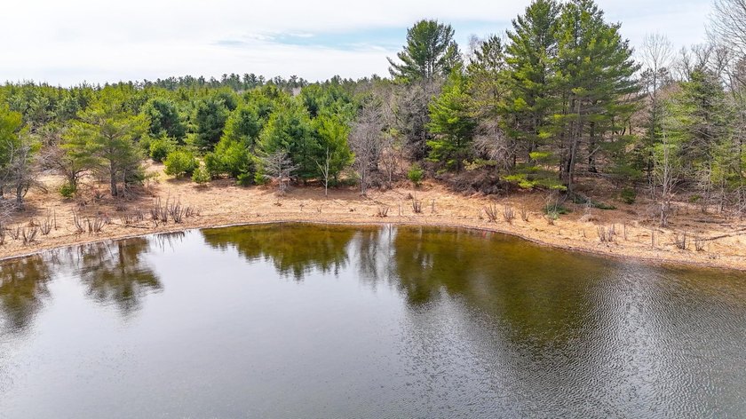 Discover the perfect Northwoods escape on beautiful Bayer Lake - photo 36