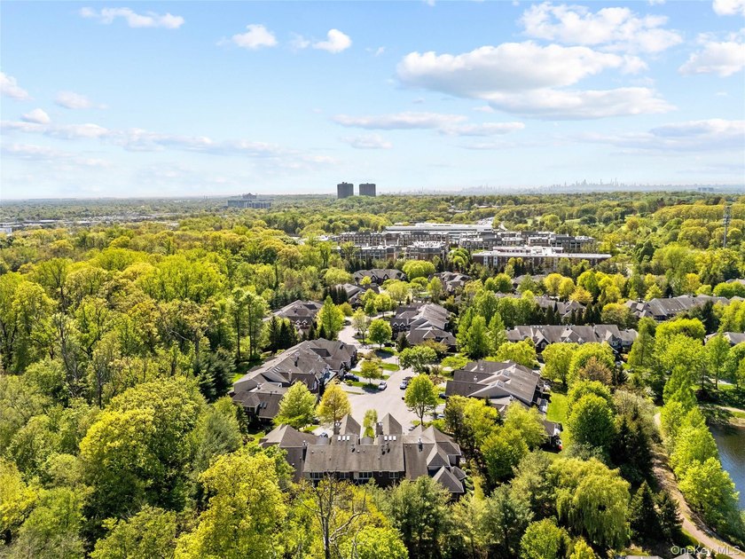 Welcome to 11 Belvedere Court, Manhasset, located within the - photo 41