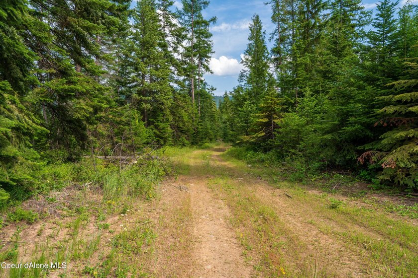 Discover your North ID mountain retreat on this exceptional - photo 15