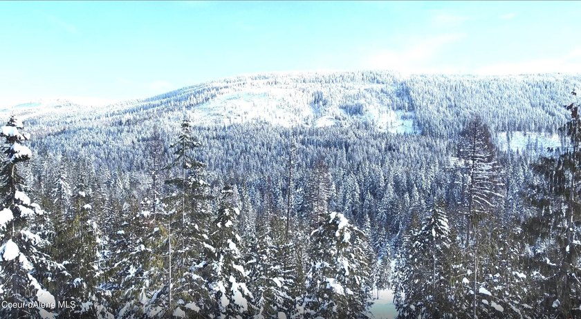 Discover your North ID mountain retreat on this exceptional - photo 17