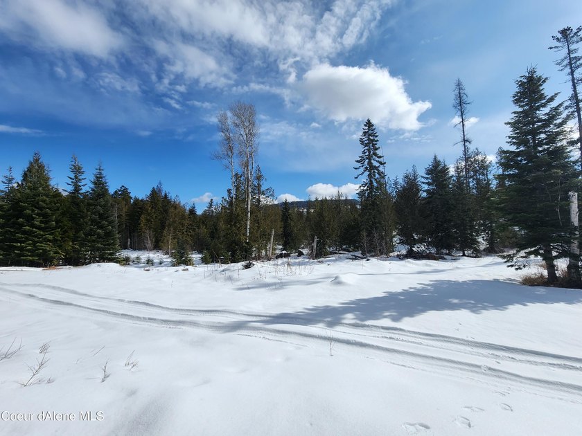 Discover your North ID mountain retreat on this exceptional - photo 19