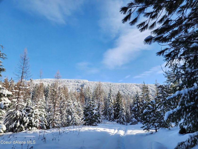 Discover your North ID mountain retreat on this exceptional - photo 25