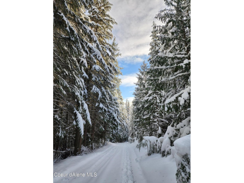 Discover your North ID mountain retreat on this exceptional - photo 26