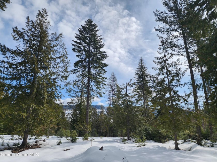 Discover your North ID mountain retreat on this exceptional - photo 29