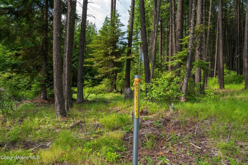 Discover your North ID mountain retreat on this exceptional - photo 36