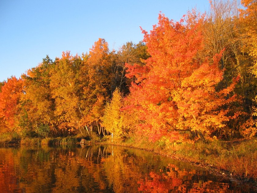 Welcome to Eagle Deer Reserve! A shared lake access community - photo 14