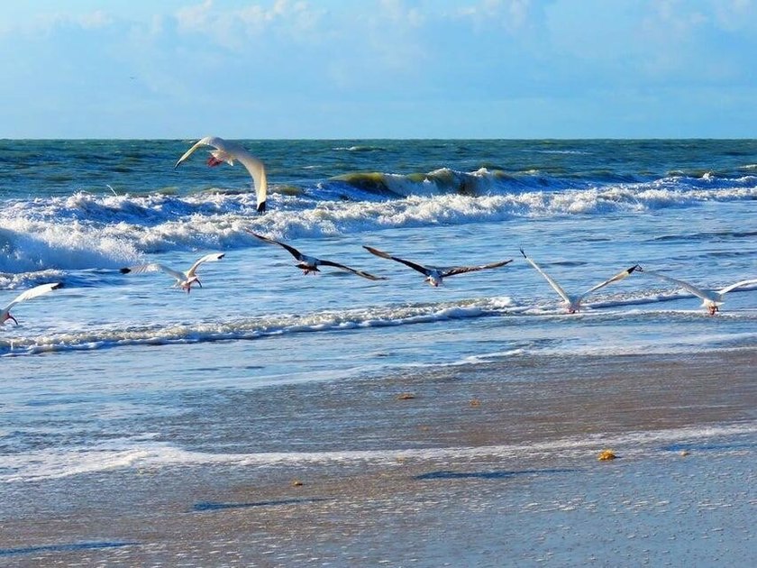 Discover your dream waterfront home site on Indian River Drive - photo 28