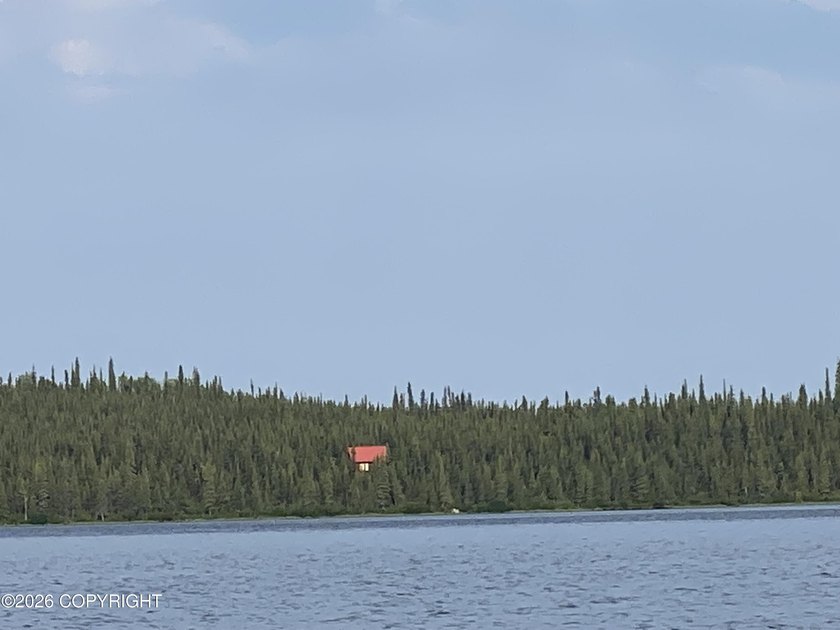 Cute Lindahl Cedar cabin on 4 acres of lakefront. Great fishing - photo 2