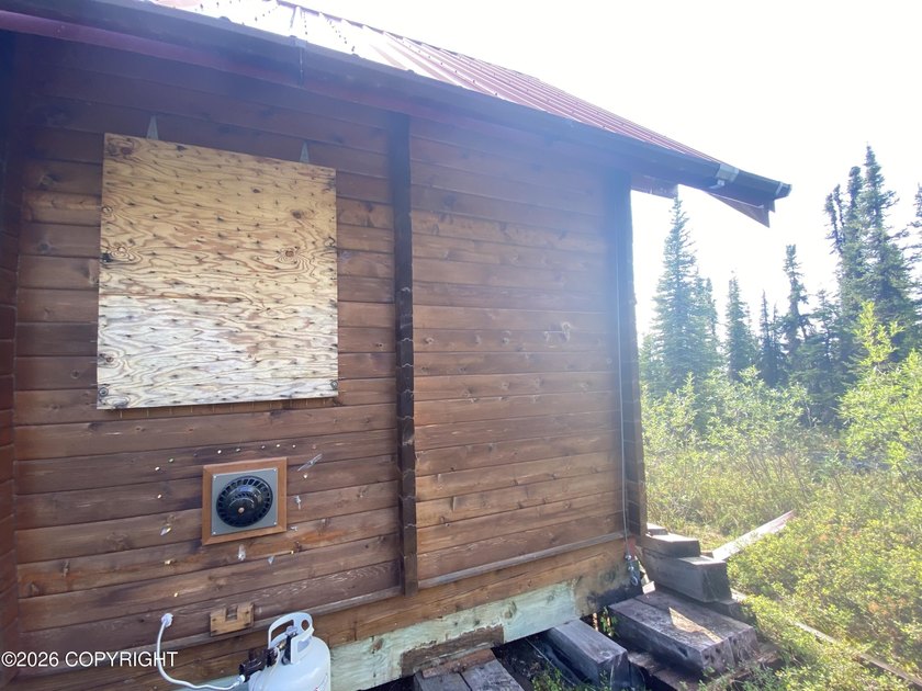 Cute Lindahl Cedar cabin on 4 acres of lakefront. Great fishing - photo 5
