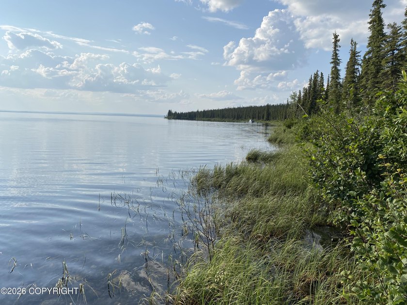 Cute Lindahl Cedar cabin on 4 acres of lakefront. Great fishing - photo 9